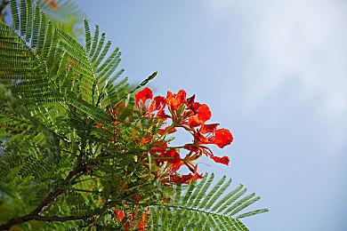 经典名作复刻 《桃子的火星保龄球》登陆Switch发售